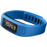Garmin Vivofit Fitness Band