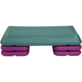 The Step F1004 Step Workout System