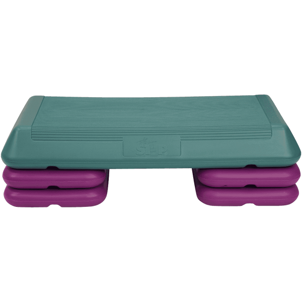 The Step F1004 Step Workout System